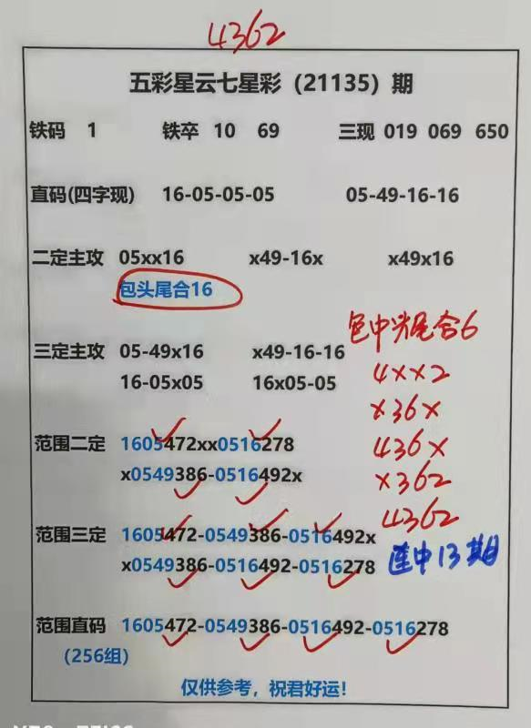 迎接美好未來，2025天天好彩，迎接美好未來，2025年天天精彩無限
