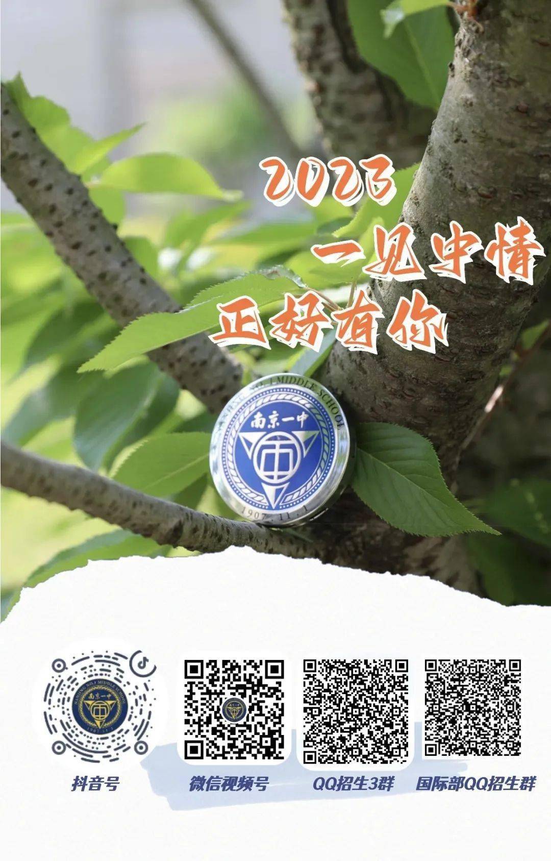 一碼一肖一特一中，揭秘背后的秘密與奧秘，揭秘一碼一肖一特一中背后的秘密奧秘