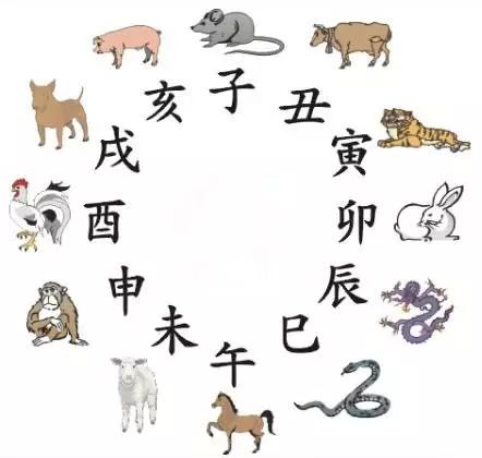澳門天天彩期期精準(zhǔn)十二生肖預(yù)測——揭秘彩票秘密，澳門天天彩期期精準(zhǔn)十二生肖預(yù)測，揭秘彩票秘密之獨(dú)家解析