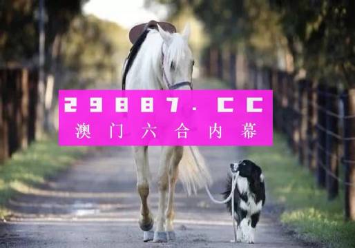 澳門彩的奧秘世界與SEO優(yōu)化策略探討 —— www.04812com的獨家解析，澳門彩奧秘與SEO優(yōu)化策略獨家解析，www.04812com深度探討