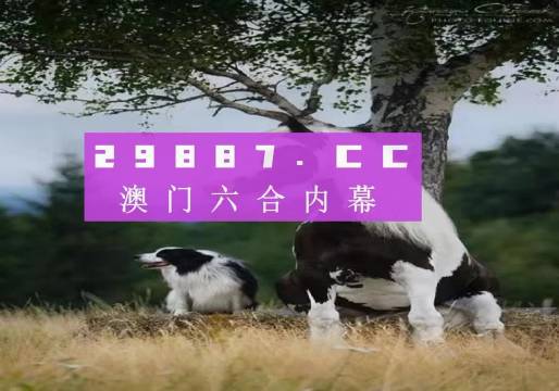 揭秘7777788888精準(zhǔn)新跑狗——全方位解讀與體驗(yàn)，揭秘精準(zhǔn)新跑狗，全方位解讀與體驗(yàn)7777788888跑狗秘籍