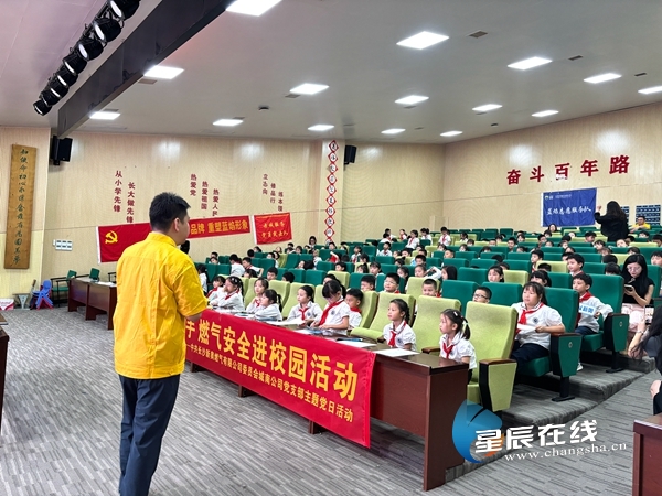 新奧正版資料的SEO優(yōu)化文章，新奧正版資料的SEO優(yōu)化指南