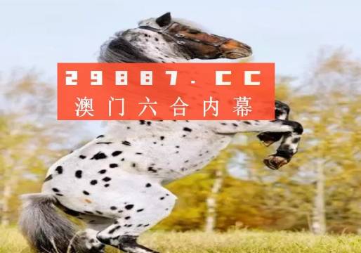 白小姐的精準(zhǔn)免費四肖，揭秘背后的秘密，揭秘白小姐精準(zhǔn)免費四肖背后的秘密