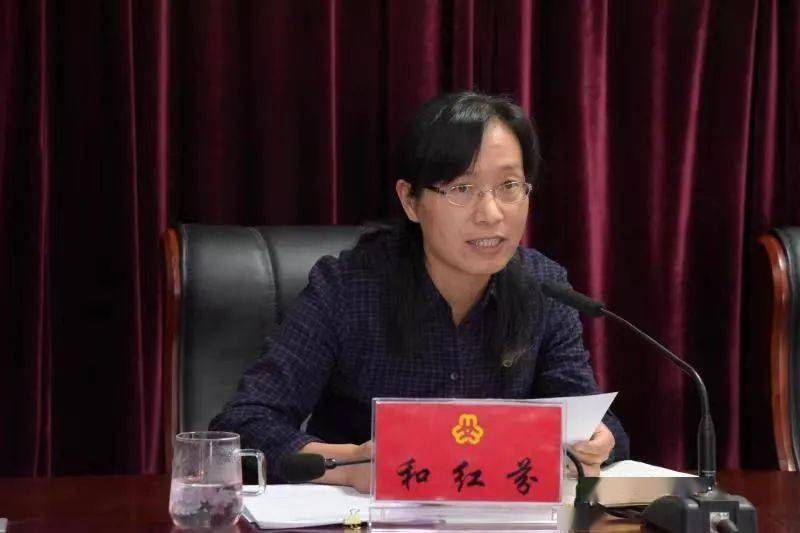 二四六香港期期中的資料解析與SEO優(yōu)化策略，香港期期二四六資料解析與SEO優(yōu)化策略探討