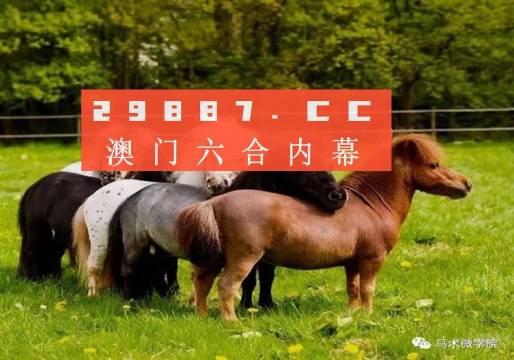 一馬中特內(nèi)部精準(zhǔn)資料免費(fèi)大公開，揭秘行業(yè)秘密，助力個(gè)人成長(zhǎng)，揭秘行業(yè)秘密，一馬中特內(nèi)部精準(zhǔn)資料大公開，助力個(gè)人成長(zhǎng)免費(fèi)獲取