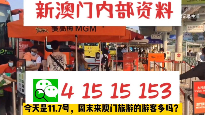 新澳今晚上9點(diǎn)30開獎直播視頻——全方位解讀與體驗(yàn)，新澳今晚9點(diǎn)30開獎直播全方位解讀與體驗(yàn)獨(dú)家呈現(xiàn)