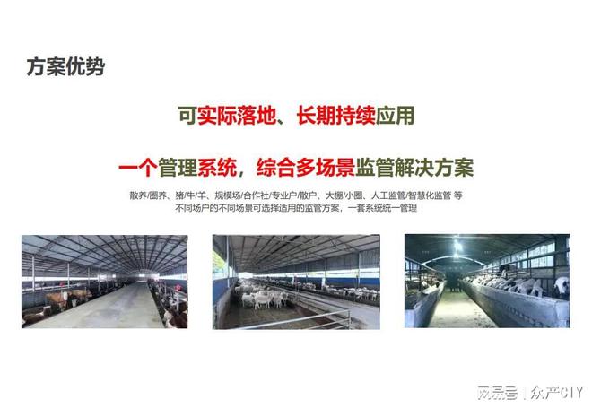 探索新澳芳草地，正版資料的免押之旅（2025年最新資訊），探索新澳芳草地，正版資料免押之旅（最新資訊）