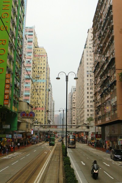 澳門最準(zhǔn)五肖預(yù)測，揭秘準(zhǔn)確預(yù)測背后的秘密，澳門最準(zhǔn)五肖預(yù)測揭秘，準(zhǔn)確預(yù)測背后的秘密探究