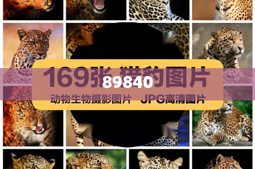 揭秘新奧集團，展望未來的最新資料，探尋五不中的奧秘，新奧集團未來展望，探尋五不中的奧秘與揭秘最新發(fā)展資料