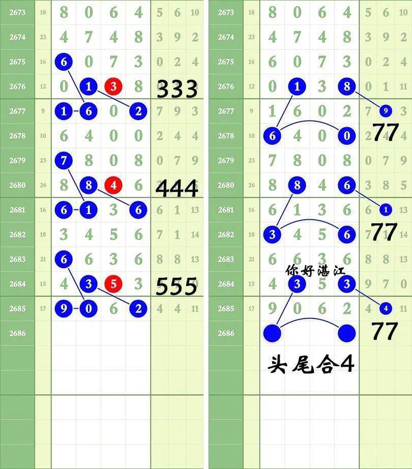 一肖三碼王中王絕密，揭秘背后的秘密與策略，揭秘一肖三碼王中王絕密策略與背后秘密
