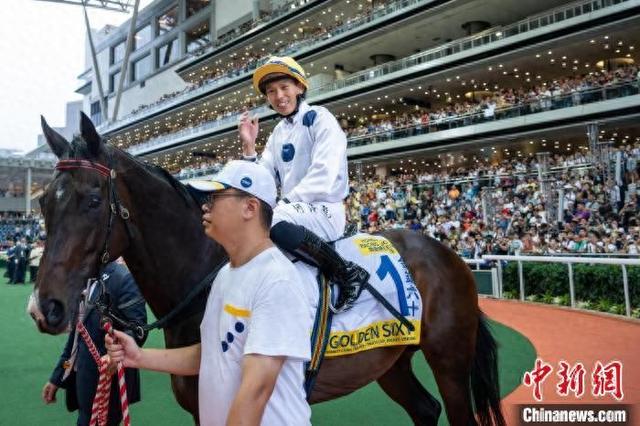 香港特馬王資料免費公開，深度解析與探索，香港特馬王資料深度解析與探索，免費公開揭秘