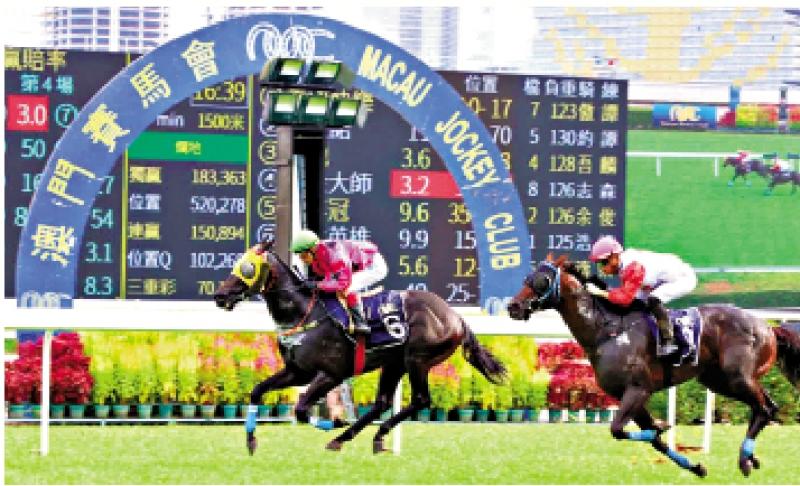 澳門賽馬會，歷史、文化與激情的交融，澳門賽馬會，歷史、文化與激情的盛會