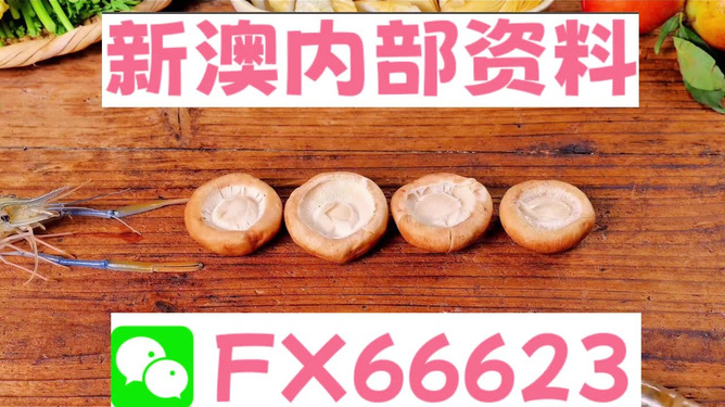 新澳全年免費(fèi)資料大全——探索與學(xué)習(xí)資源的寶庫，新澳全年免費(fèi)資料大全，探索與學(xué)習(xí)資源的終極寶庫