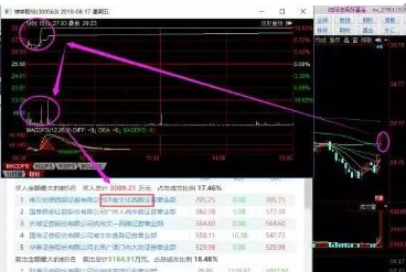 探索300563股吧的獨(dú)特魅力與機(jī)遇，揭秘300563股吧，獨(dú)特魅力與無(wú)限機(jī)遇