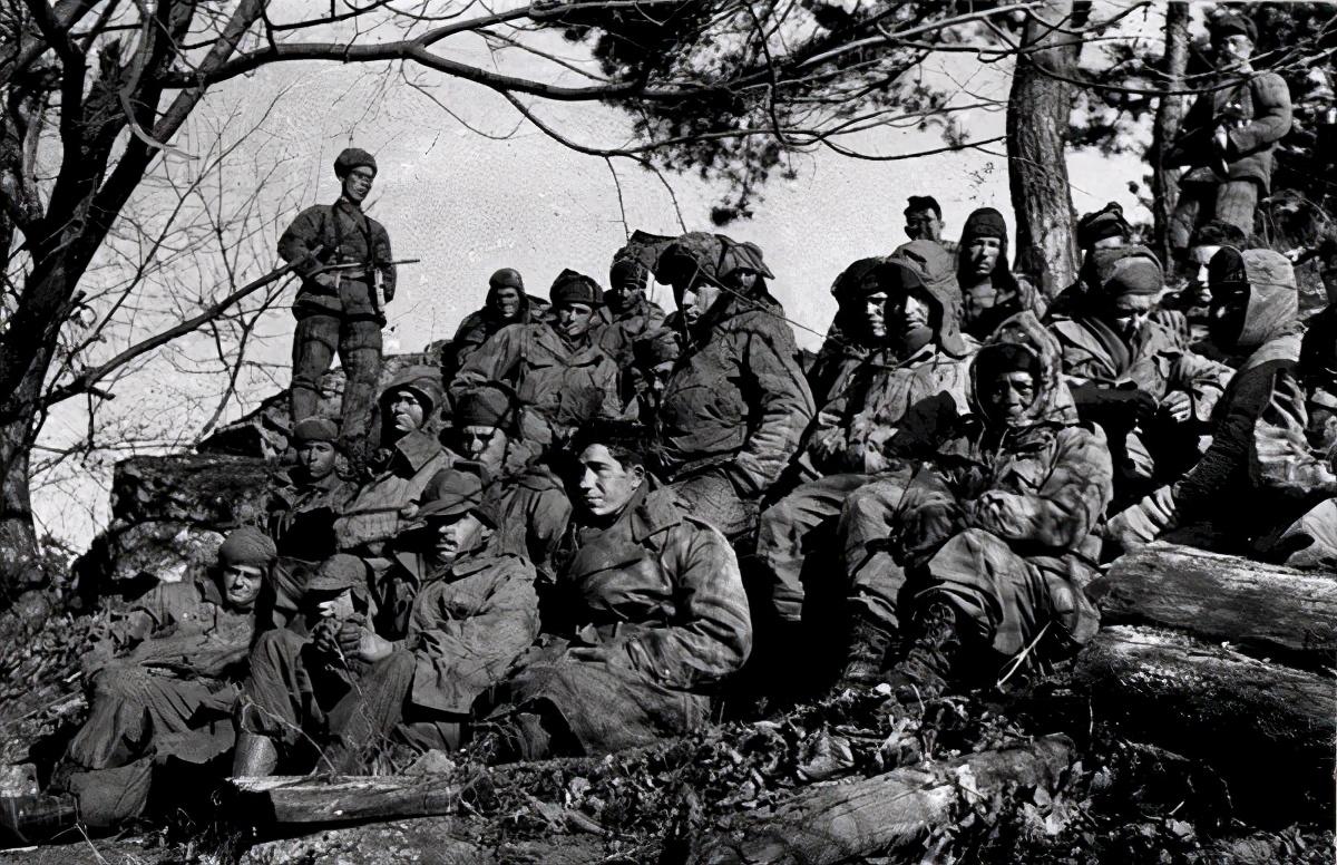 王中王119期指一生肖，深度解析與預(yù)測，王中王119期生肖深度解析與預(yù)測，揭秘未來走向