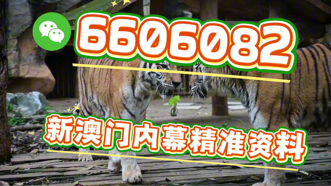 澳門(mén)今晚必開(kāi)一肖一特，探索生肖彩票的魅力與預(yù)測(cè)，澳門(mén)生肖彩票探索，魅力揭秘與今晚預(yù)測(cè)一肖一特