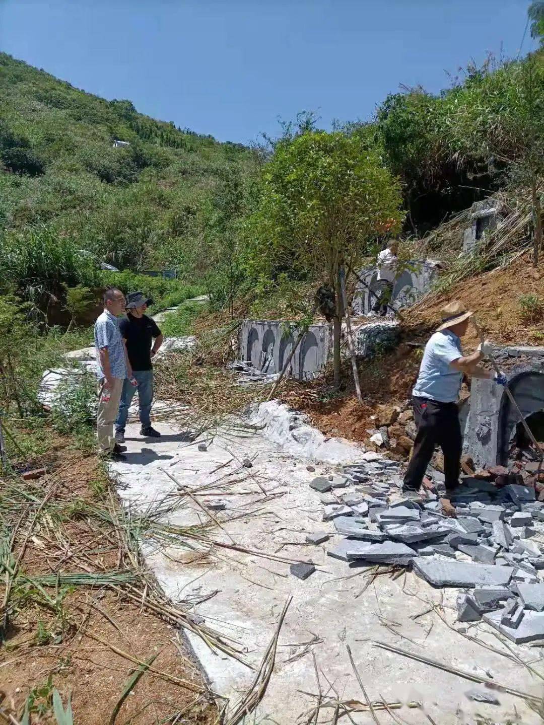 王中王一字一句拆一肖，深度解析背后的奧秘，王中王拆字揭秘，探尋背后奧秘揭曉生肖之謎