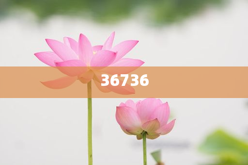 揭秘7777788888精準(zhǔn)新傳真，真相大揭秘，揭秘精準(zhǔn)新傳真背后的真相，77777與88888的神秘面紗被揭開(kāi)