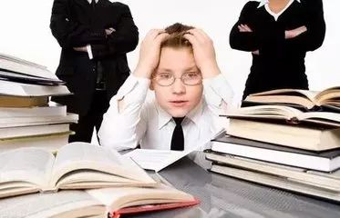 三肖必開一期王中王，揭秘背后的秘密與策略，揭秘三肖必開一期王中王的秘密與策略