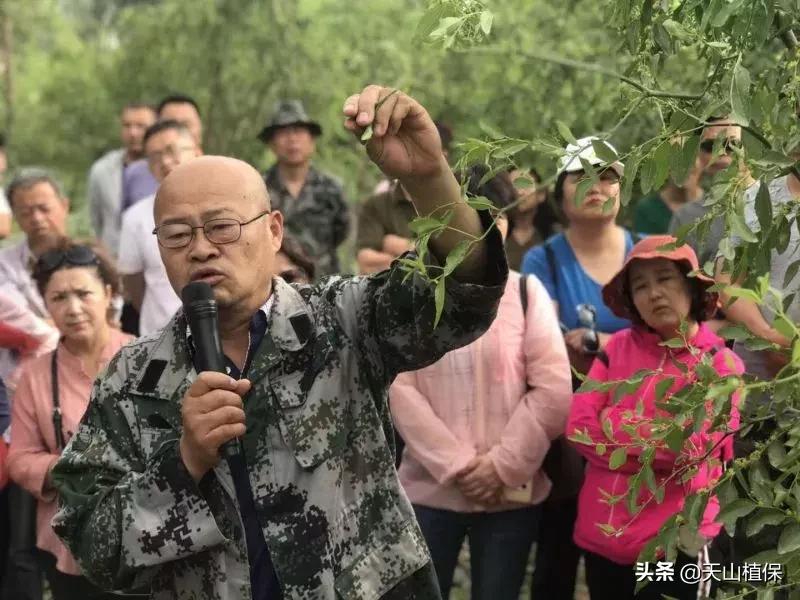 長期吃紅棗的潛在害處，了解并平衡飲食健康，長期食用紅棗的潛在風(fēng)險與飲食平衡的重要性