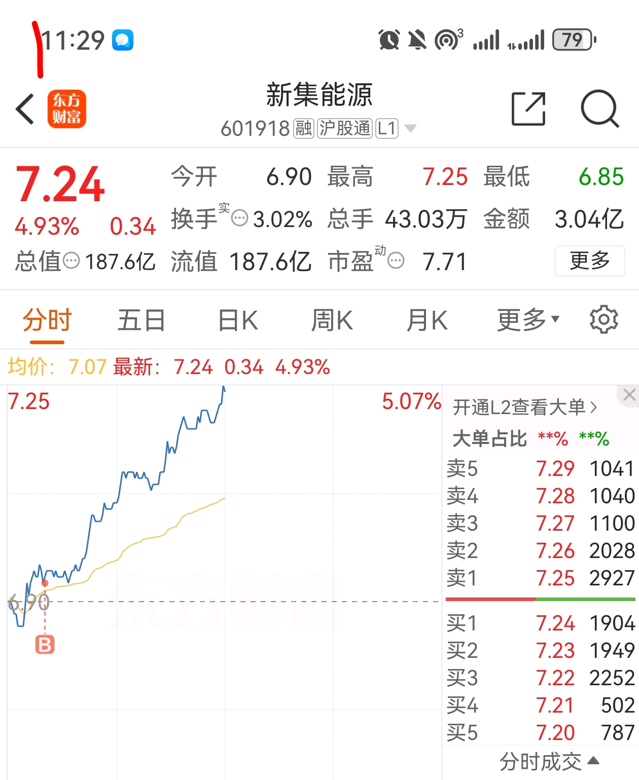 新能股份股票，深度解析與前景展望，新能股份股票深度解析及前景展望