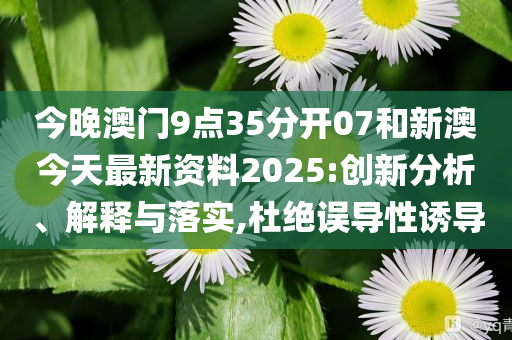 新澳今天最新資料，深度解讀與探索，新澳今日深度解讀與探索最新資料