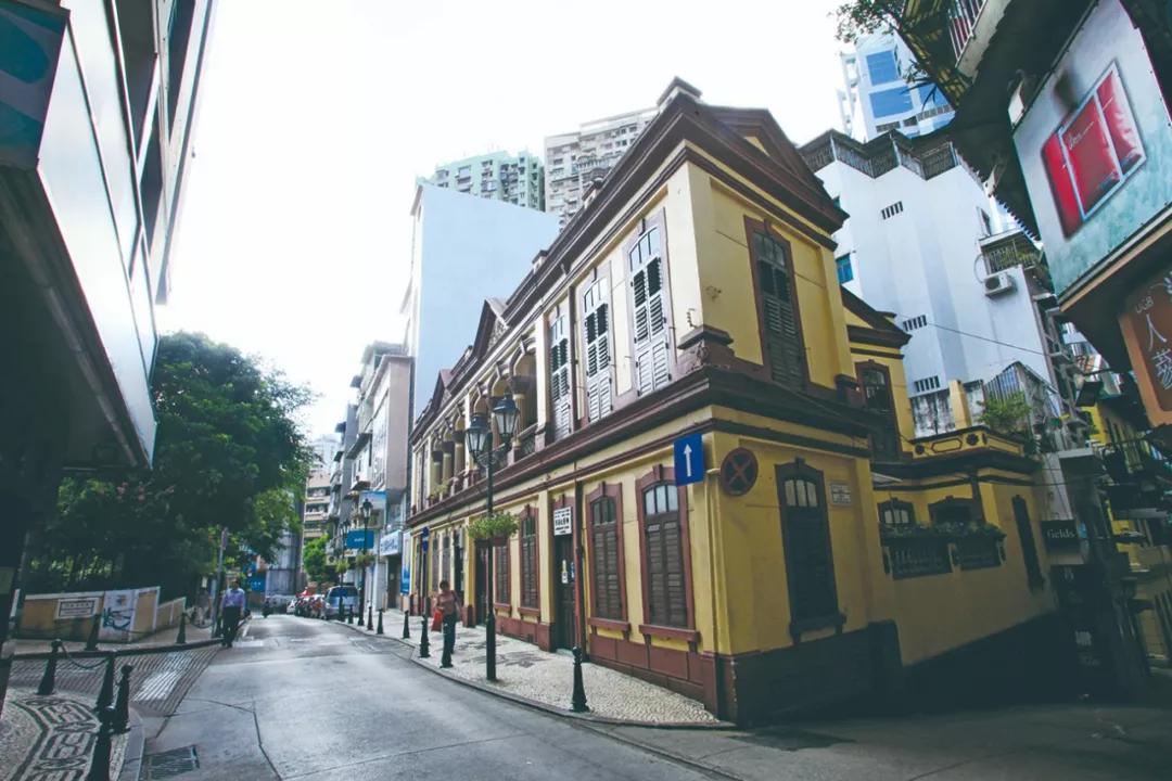 澳門三期內必開一肖——揭秘生肖彩票的奧秘，揭秘澳門生肖彩票三期必開一肖的神秘面紗