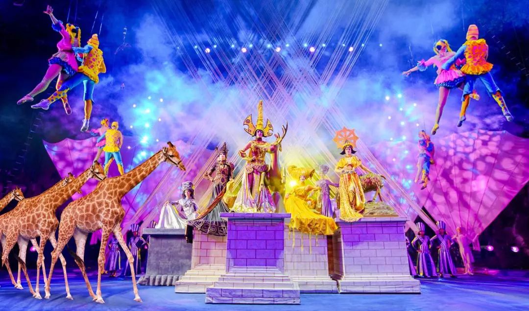 新奧門天天開將資料大全——全面解析與實用指南，新奧門天天開將資料大全，全面解析與指南