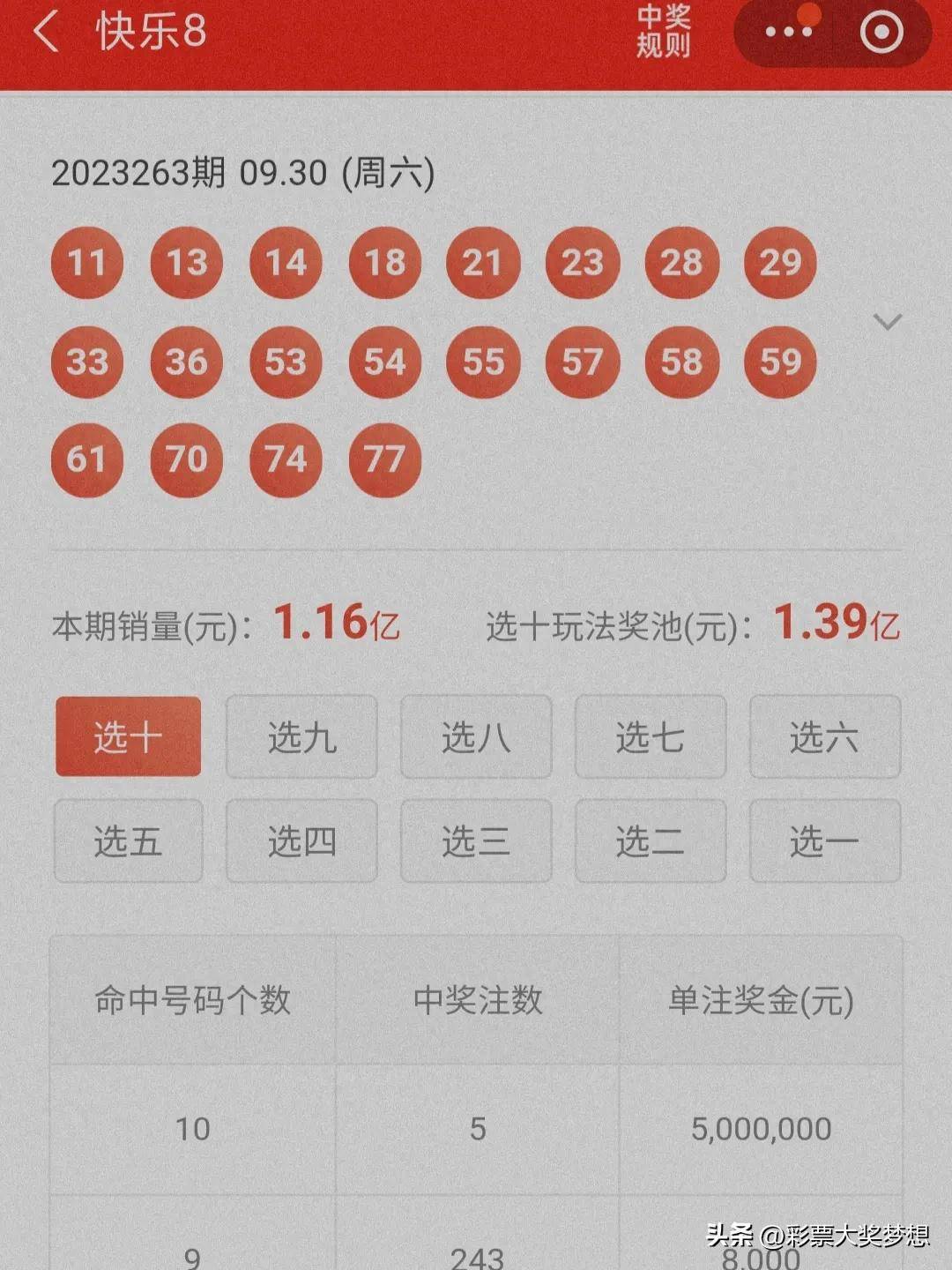 揭秘王中王四肖必中一肖中特，深度解析與SEO優(yōu)化策略，揭秘王中王四肖必中一肖中特，深度解析與SEO策略全攻略