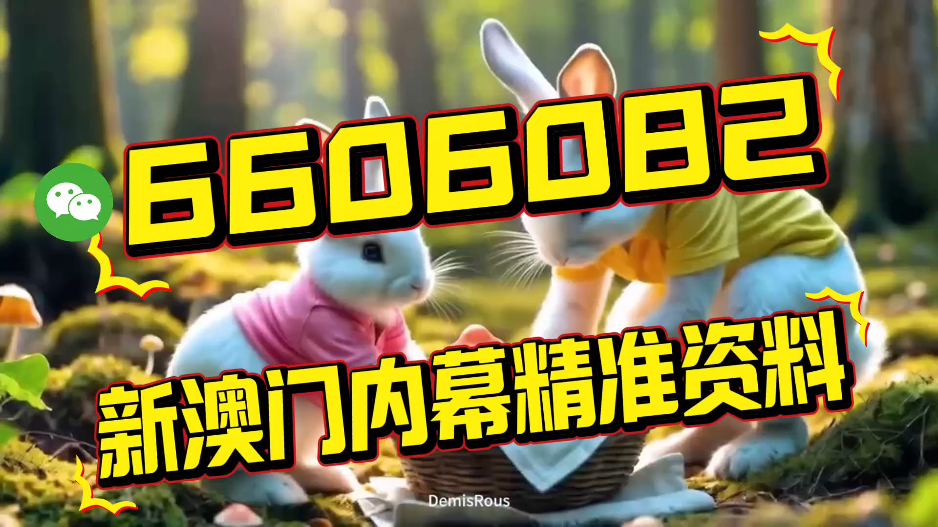 澳門內部三肖三碼中特，揭秘彩票背后的秘密，澳門彩票揭秘，三肖三碼中特背后的秘密探究