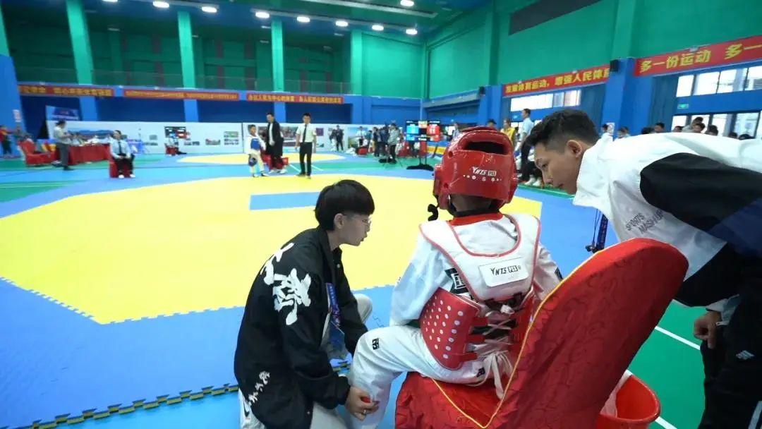 2021王中王資料一肖，深度解析與探索，揭秘王中王資料一肖，深度解析與探索