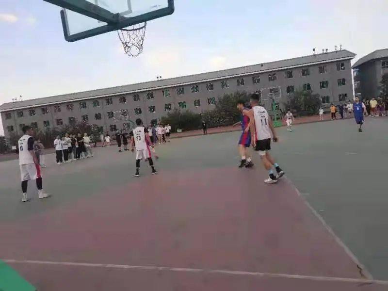 澳門二四六天下彩天天免費大全——全面解析澳門彩票文化，澳門彩票文化全面解析，二四六天下彩免費大全