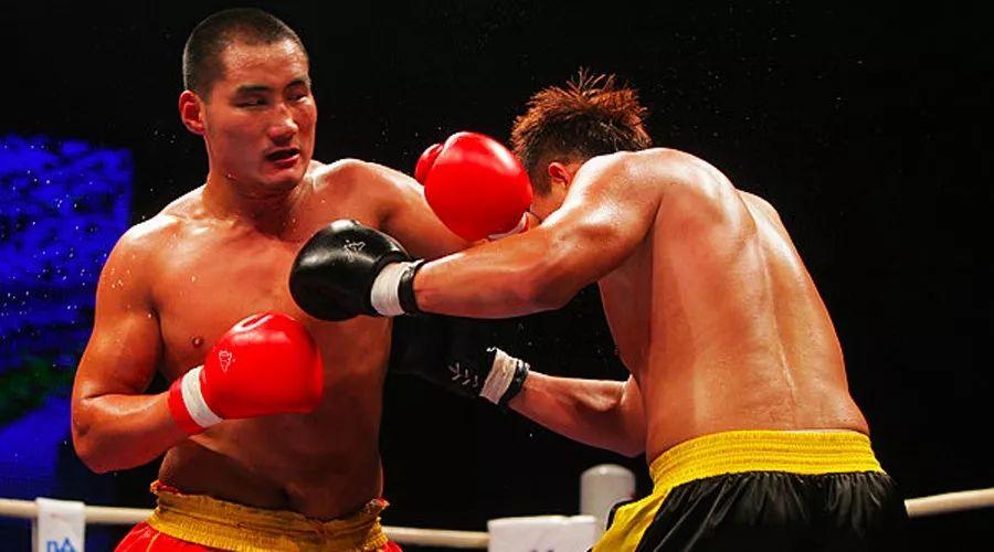 王中王85期指一生肖——深度解析與預測，王中王85期生肖深度解析與預測