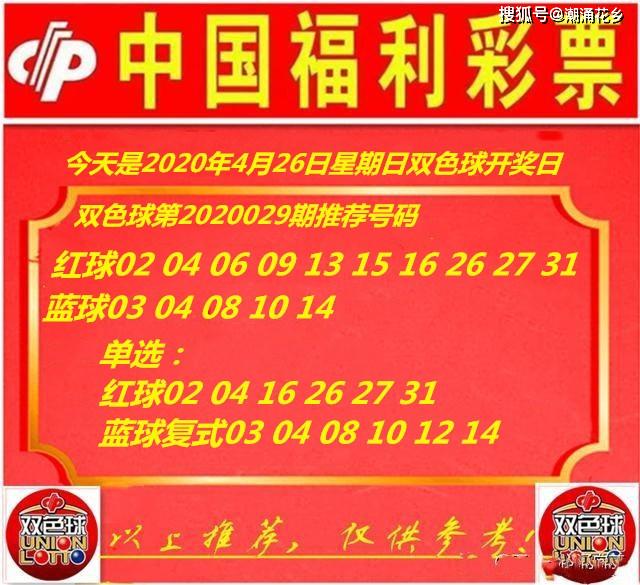 王中王029期指一生肖，揭秘生肖魅力與預(yù)測背后的秘密，揭秘生肖魅力與預(yù)測背后的秘密，王中王生肖預(yù)測第029期揭曉