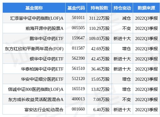 匯添富均衡增長基金凈值，解析與洞察，匯添富均衡增長基金凈值深度解析與洞察