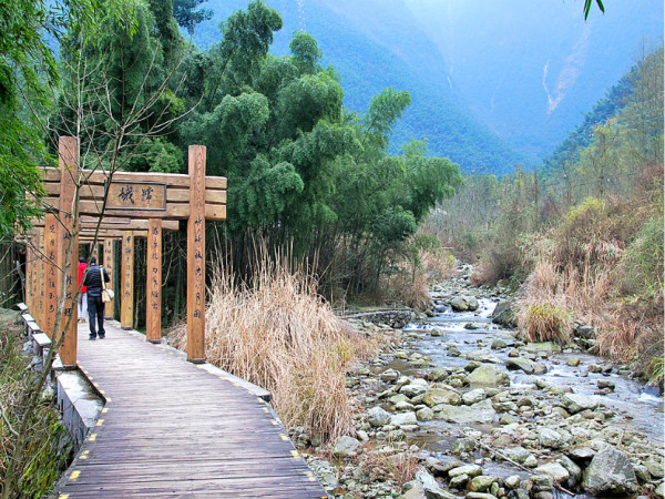 上海郊區(qū)旅游自駕景點推薦——探索郊野之美，上海郊區(qū)自駕游景點探索，郊野之美的秘境之旅