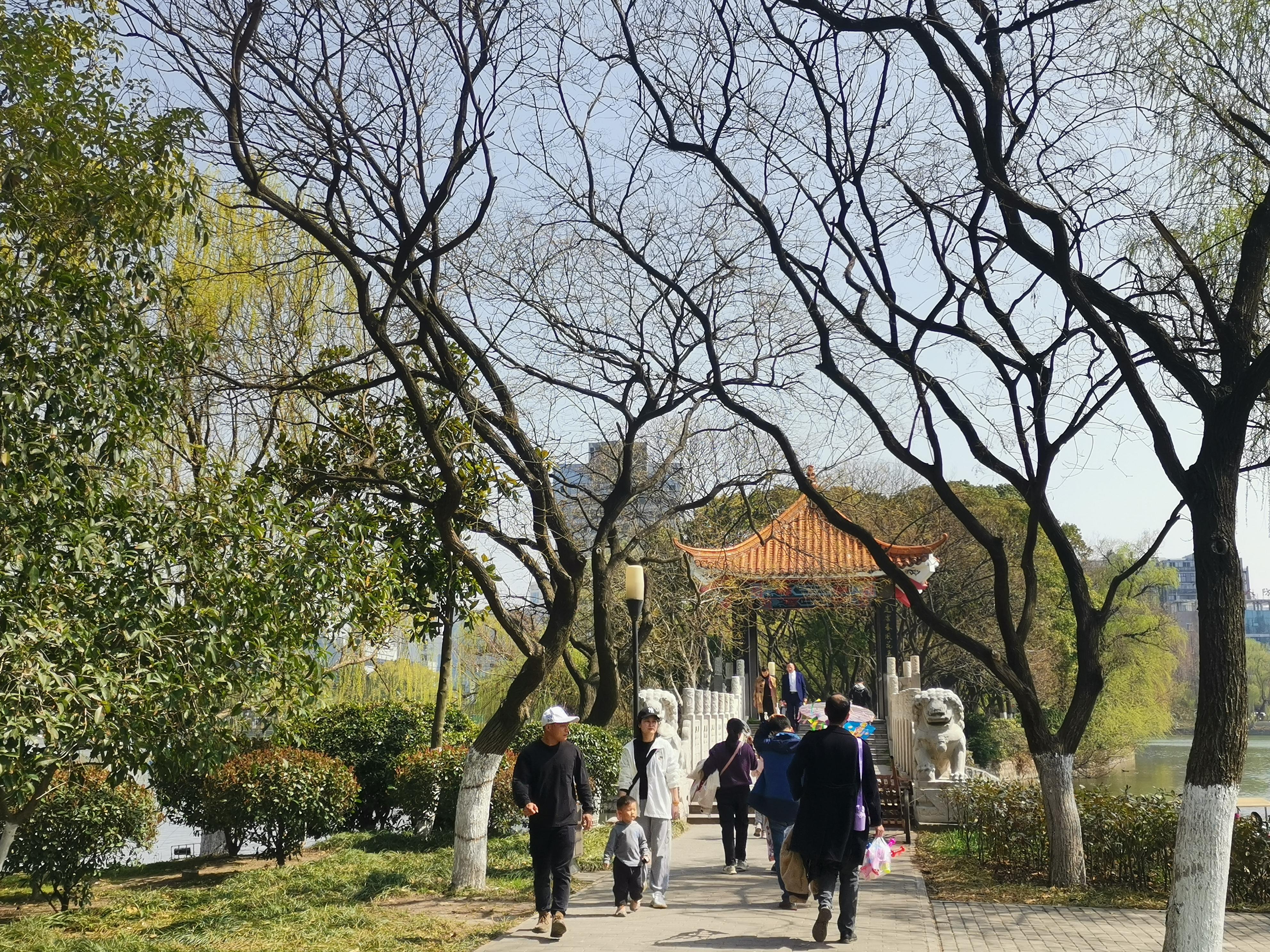 澳門75期最快天天開獎，揭秘彩票背后的秘密與策略，澳門75期天天開獎揭秘，彩票背后的秘密與策略探究