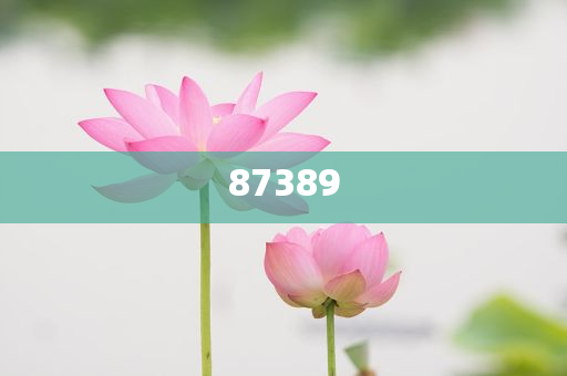 一肖是否包括特肖？深度解析生肖文化中的奧秘，深度解析生肖文化，一肖是否包含特肖？