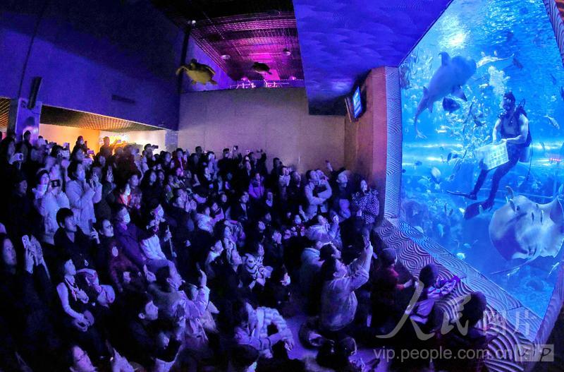 新澳2025今晚開獎結果，揭秘彩票背后的秘密與期待，揭秘新澳2025彩票開獎背后的秘密與期待，今晚開獎結果揭曉！