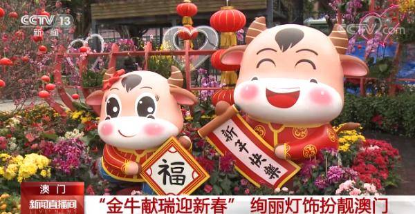 澳門金牛網(wǎng)金牛版論壇——探索與解析，澳門金牛網(wǎng)金牛版論壇，深度探索與解析