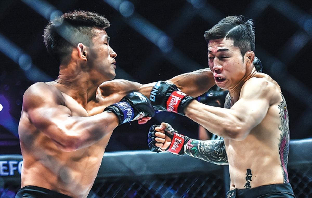 王中王07期指一生肖，深度解析與預(yù)測(cè)，王中王07期指一生肖，深度解析、預(yù)測(cè)與運(yùn)勢(shì)探討