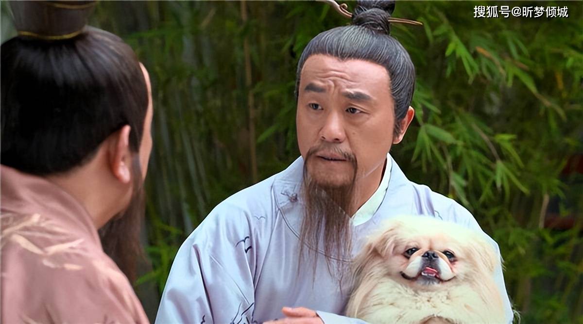 定天下劉伯溫打一生肖——探尋傳奇背后的秘密，劉伯溫傳奇背后的生肖揭秘，定天下之生肖探秘