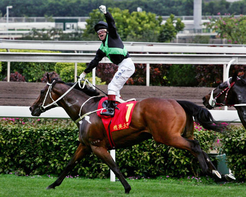 香港王中王一肖中特馬的奧秘與探索，香港王中王一肖中特馬的奧秘探索之旅