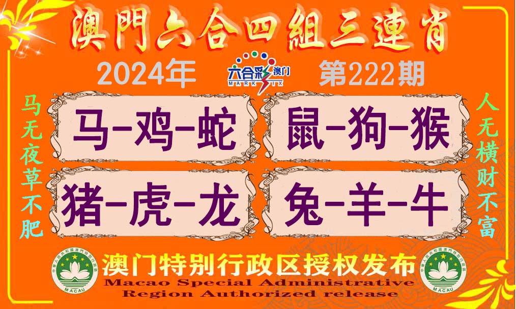 新澳門單雙王，揭秘背后的秘密與策略，揭秘新澳門單雙王背后的秘密與策略之道