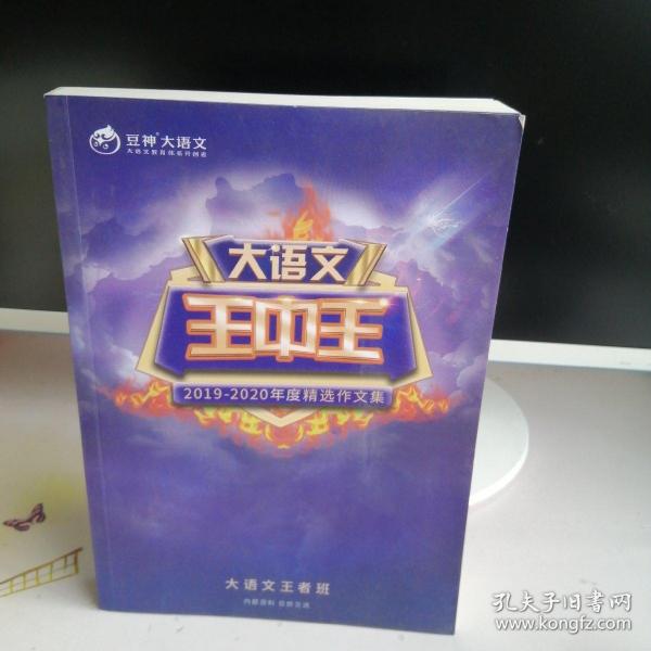 揭秘2019王中王資料一肖，全方位解讀背后的故事，揭秘王中王資料一肖背后的故事，全方位解讀與深度剖析