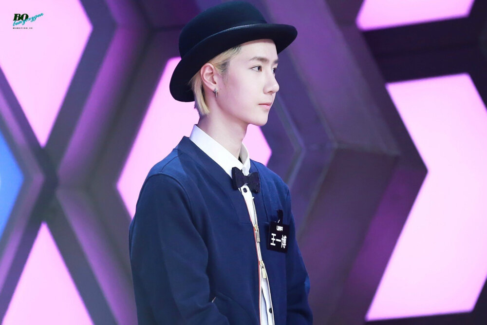 王中王一肖中特白小姐，探索背后的故事與神秘魅力，王中王一肖中特白小姐，揭秘背后的故事與神秘魅力