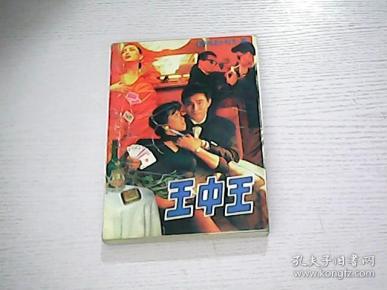 王中王平特一肖，深度解析與探索，王中王平特一肖深度解析與探索心得