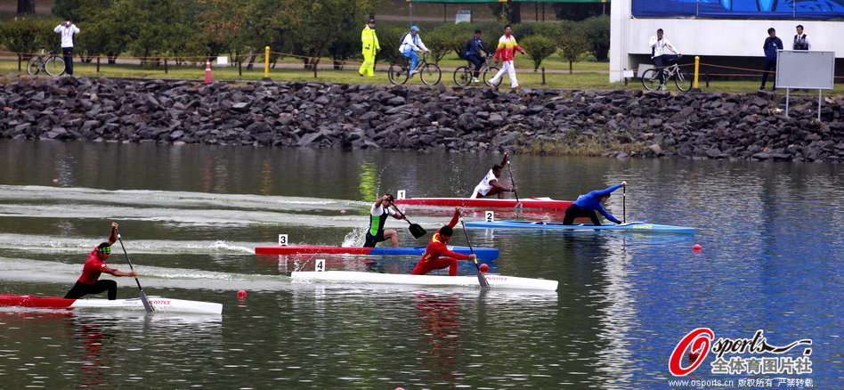 王中王選一肖一馬期期中，揭秘彩票背后的秘密策略，揭秘彩票背后的秘密策略，王中王選一肖一馬期期中之道