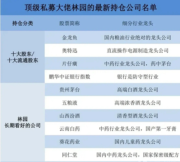 林園最新前十大重倉股票，深度解析與前景展望，林園前十大重倉股票深度解析及前景展望