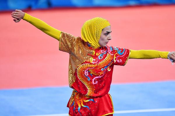 揭秘504王中王一肖，背后的故事與傳奇，揭秘王中王一肖傳奇，背后的故事與神秘面紗